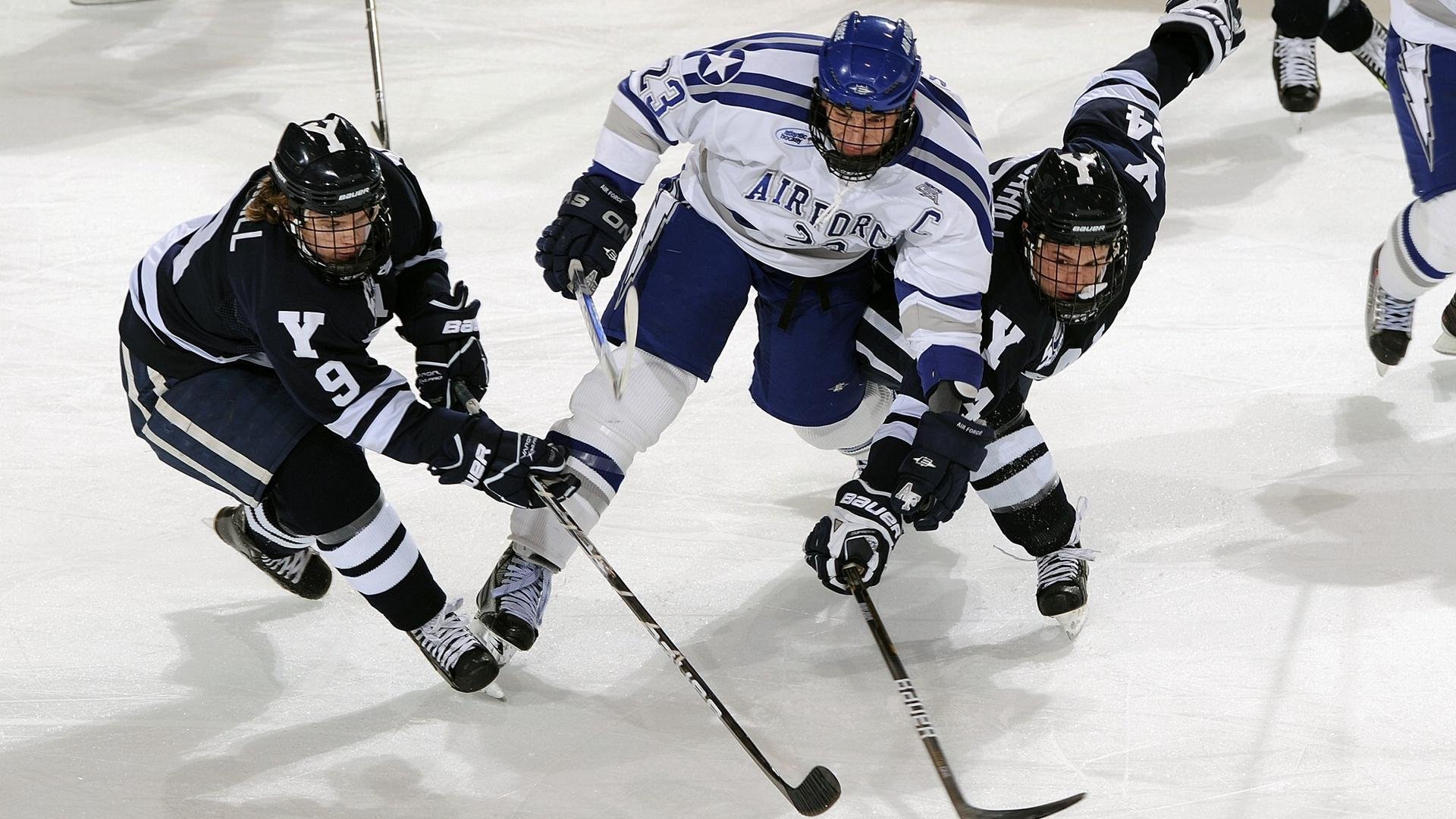 篮球专项技能动作标准化训练体系研究，篮球的专项技术动作名称及方法