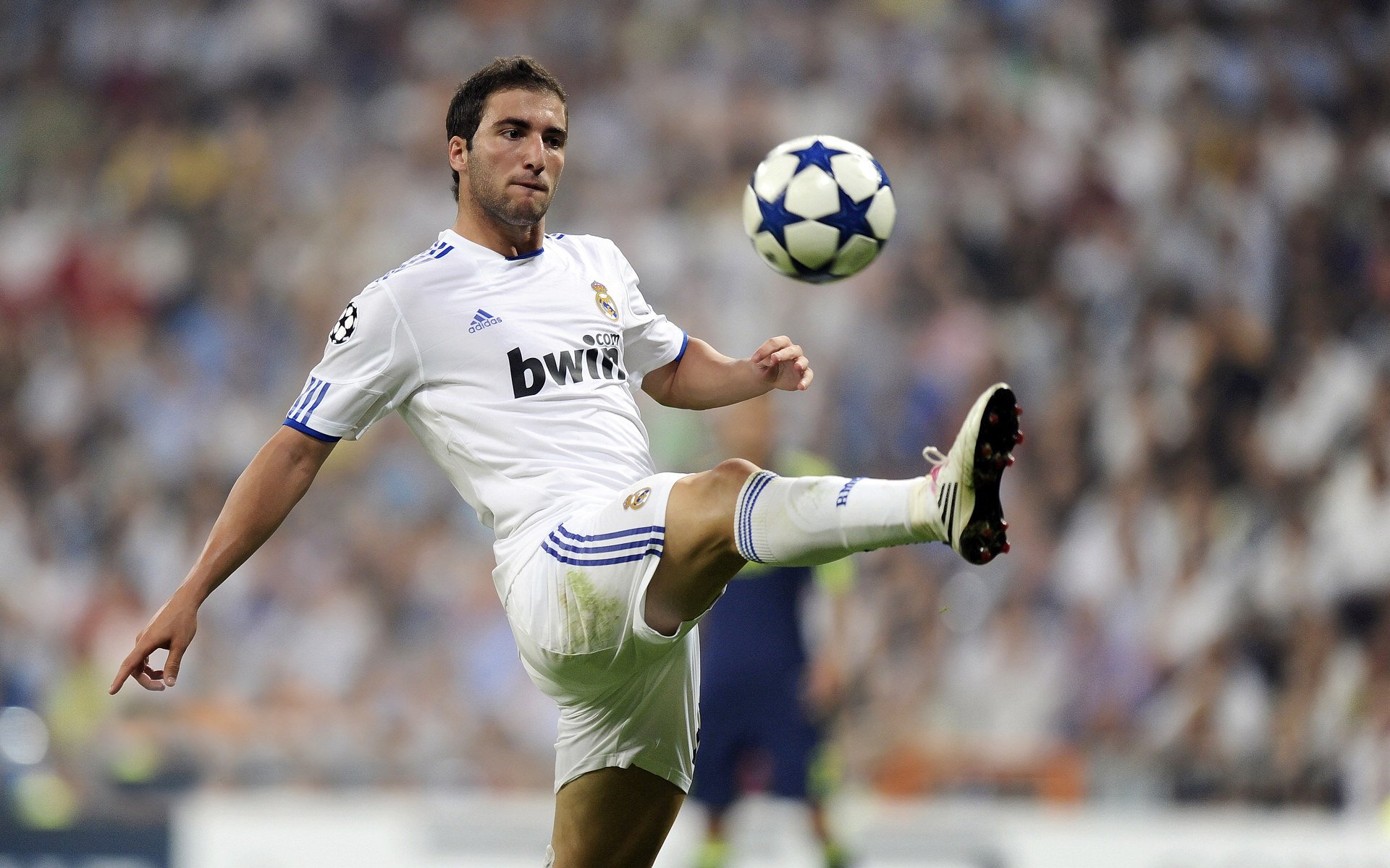 保级区变动激烈:每天上演“生死战”,保级区什么意思